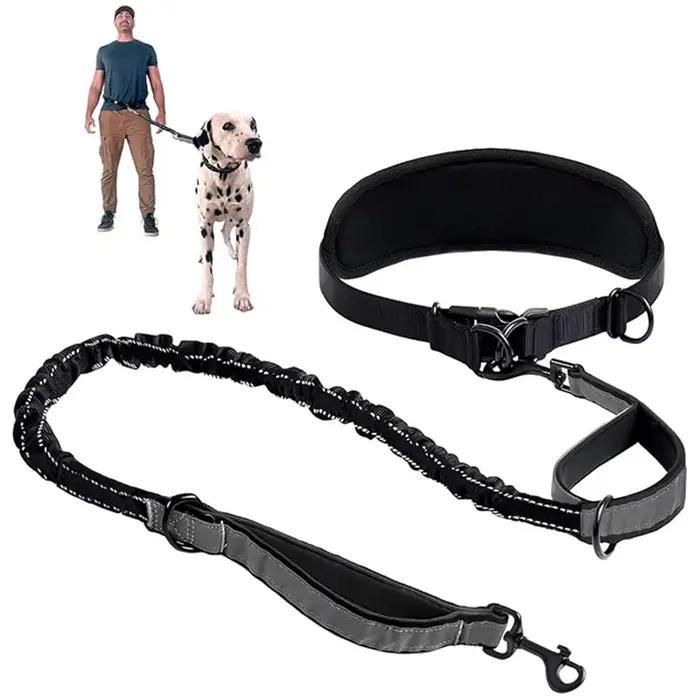Laisse de chien mains libres