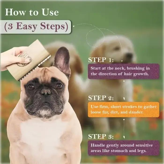 Brosse pour chien pour la mue et le toilettage