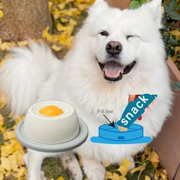 Jouets interactifs amusants pour animaux de compagnie
