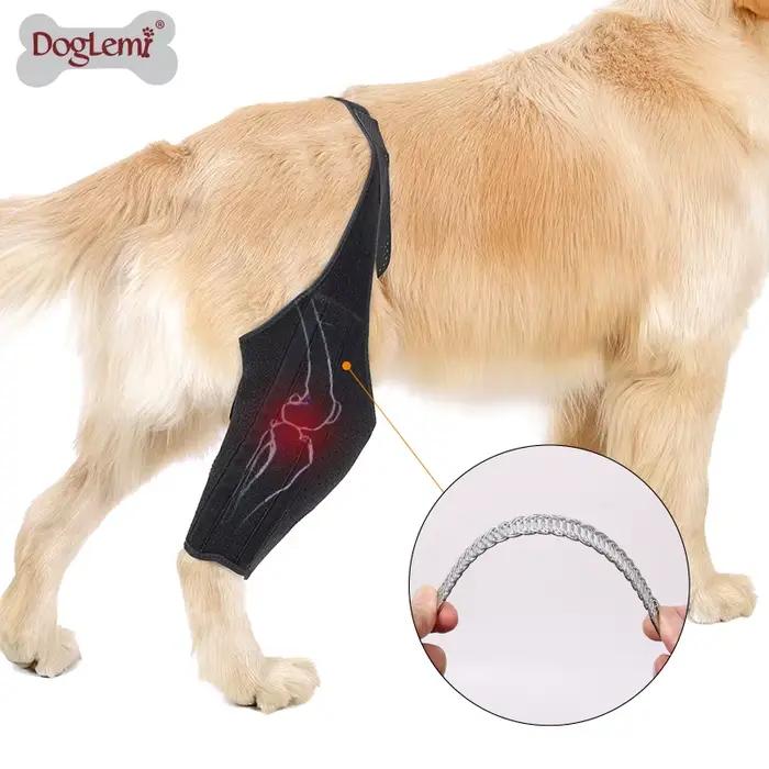 Attelle de genou pour chien