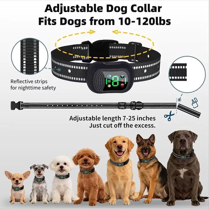 Collier de dressage pour chien sûr et respectueux des animaux