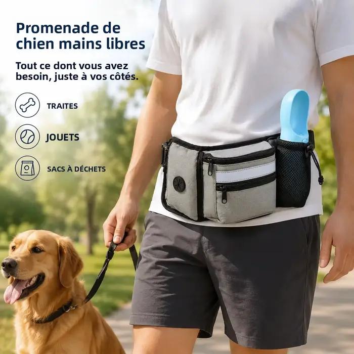 Poudres pour chien pour l'entraînement en plein air
