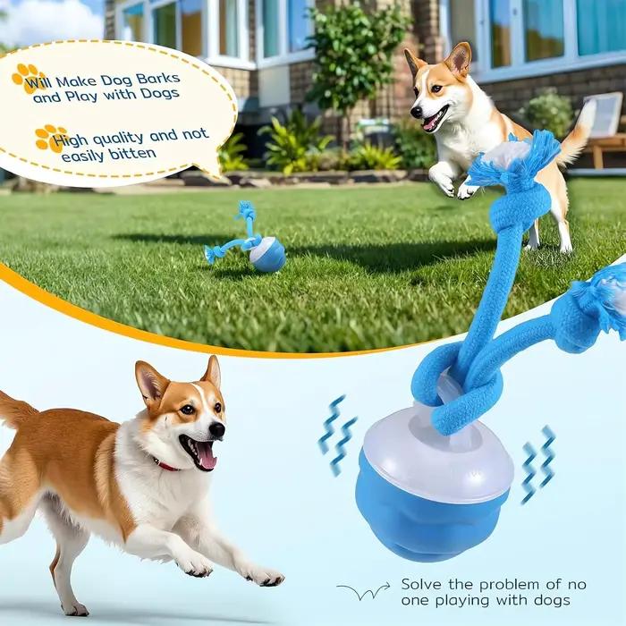 Jouet stimulant pour chien The Chase Buddy