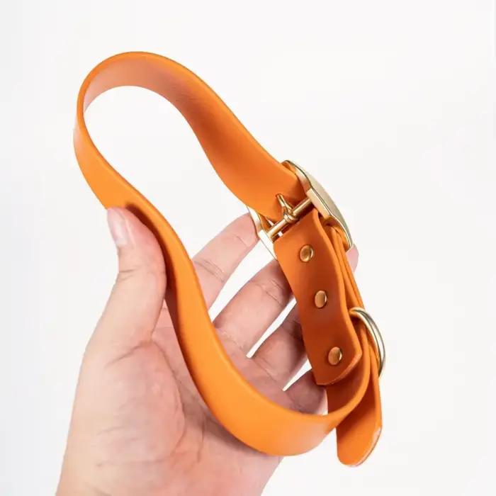 Ensemble collier et laisse pour animaux de compagnie en PVC imperméable