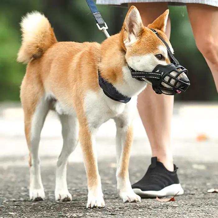 Panier réglable et respirant pour chiens de petite