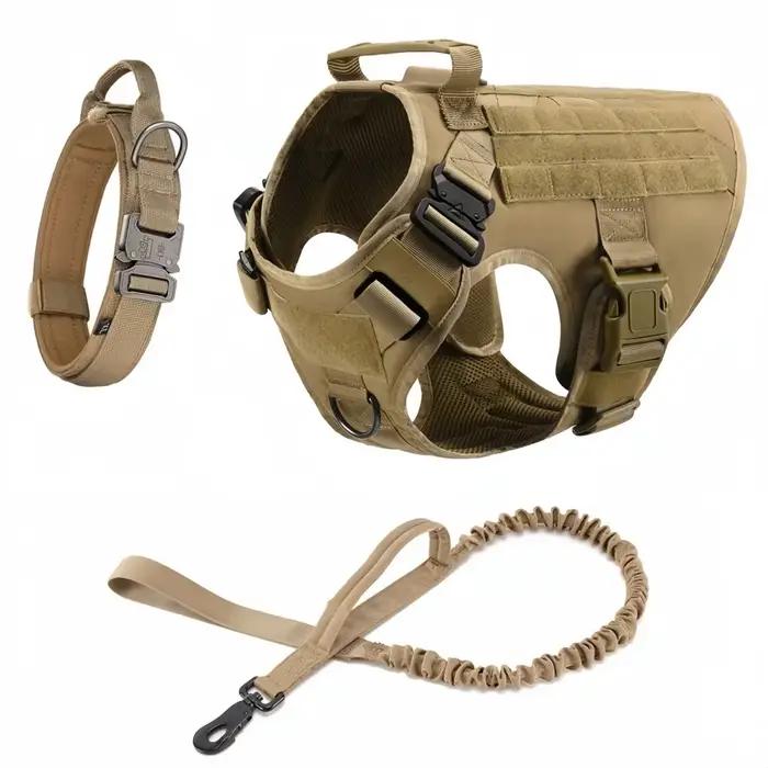 Grand ensemble harnais et laisse pour chien