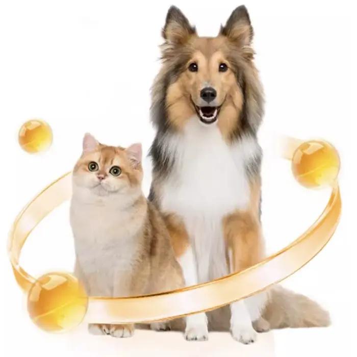 Supplément vitaminique nutrition complet RedDog 8 en 1 pour animaux de compagnie