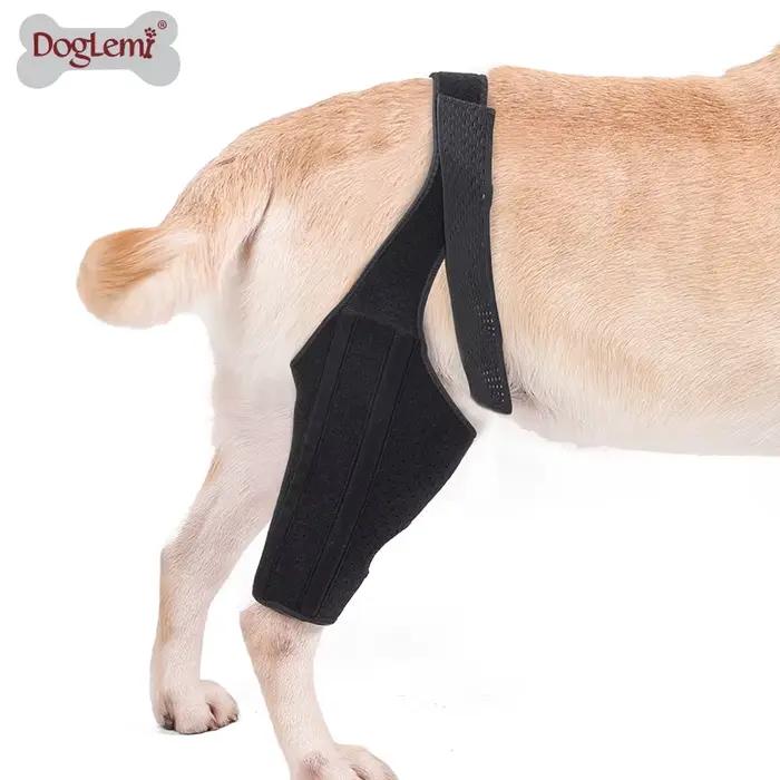 Attelle de genou pour chien