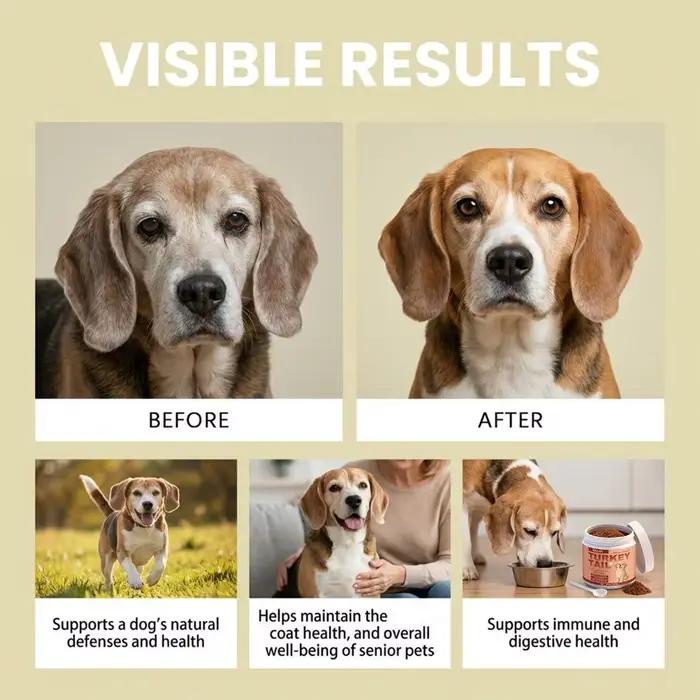100g Complément alimentaire pour chiens âgés