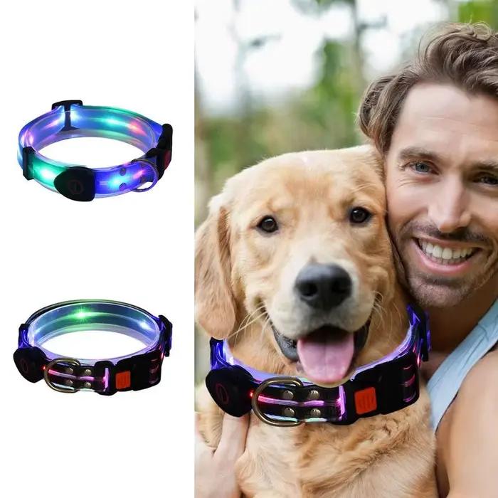 Collier lumineux pour chien rechargeable