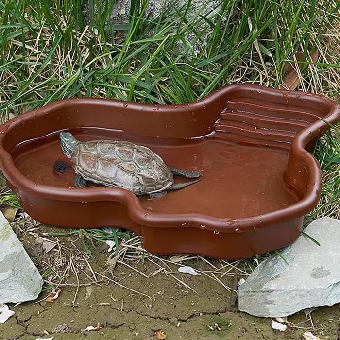 Plat d'alimentation pour tortue