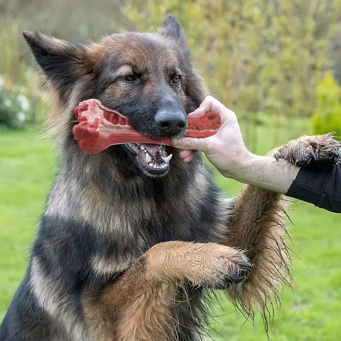 Jouet à mâcher indestructible pour chien