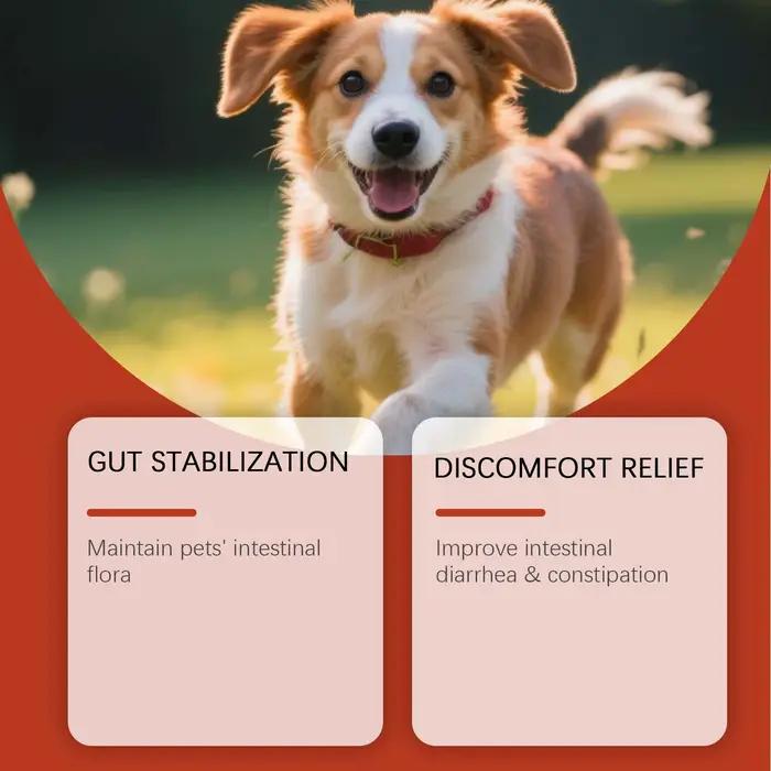 Complément Probiotique pour Animaux de Compagnie avec des Ingrédients Doux et Sûrs, Nourrit en Douceur les Chiens pour un Confort Physique, Produit de Soin Quotidien pour Canins