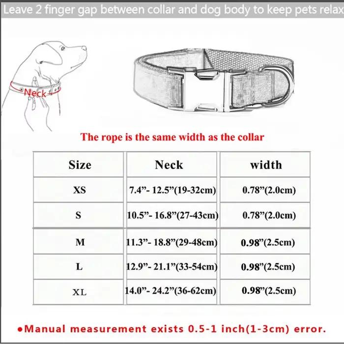 Ensemble d'arc de collier de chien personnalisé