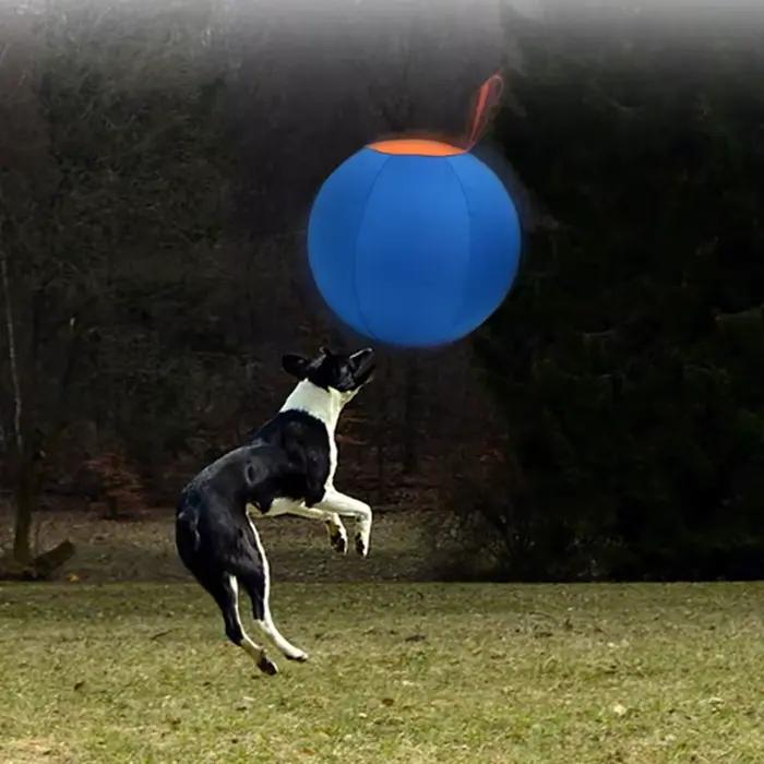 Balle d'élevage pour animaux compagnie
