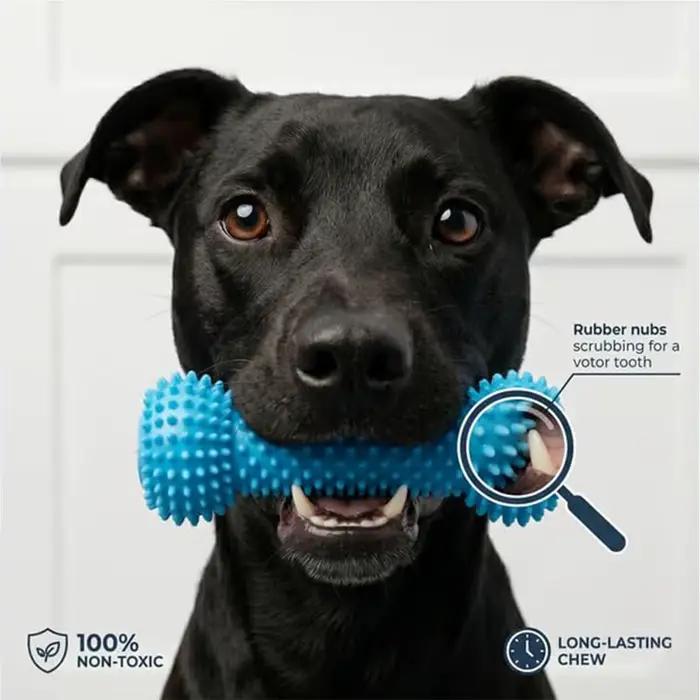 Brosses à dents en caoutchouc souple pour chiens