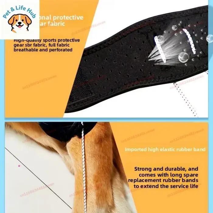 Harnais de soutien pour pattes arrière de chien handicapé