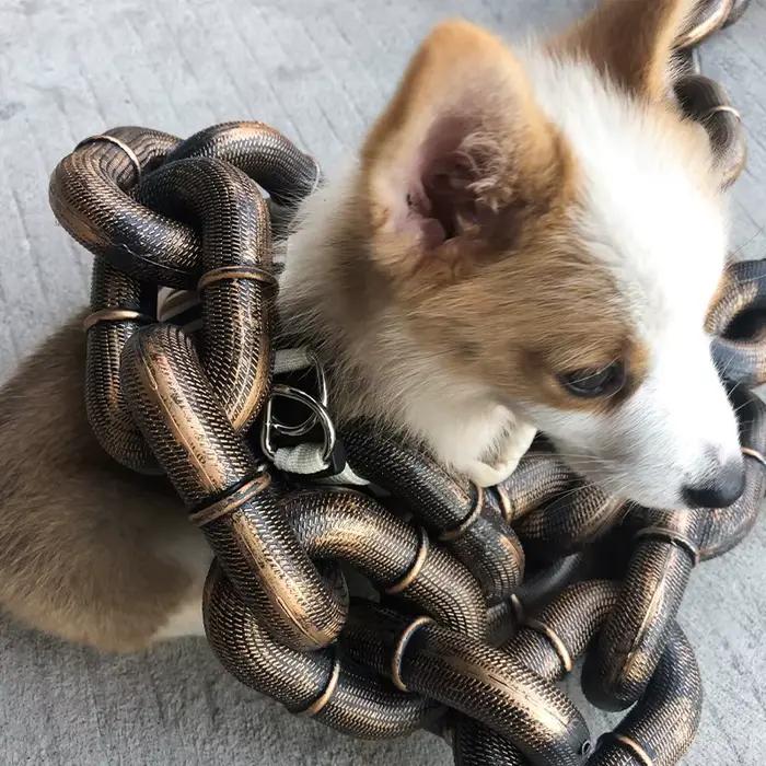 Laisse de chien créative chaîne