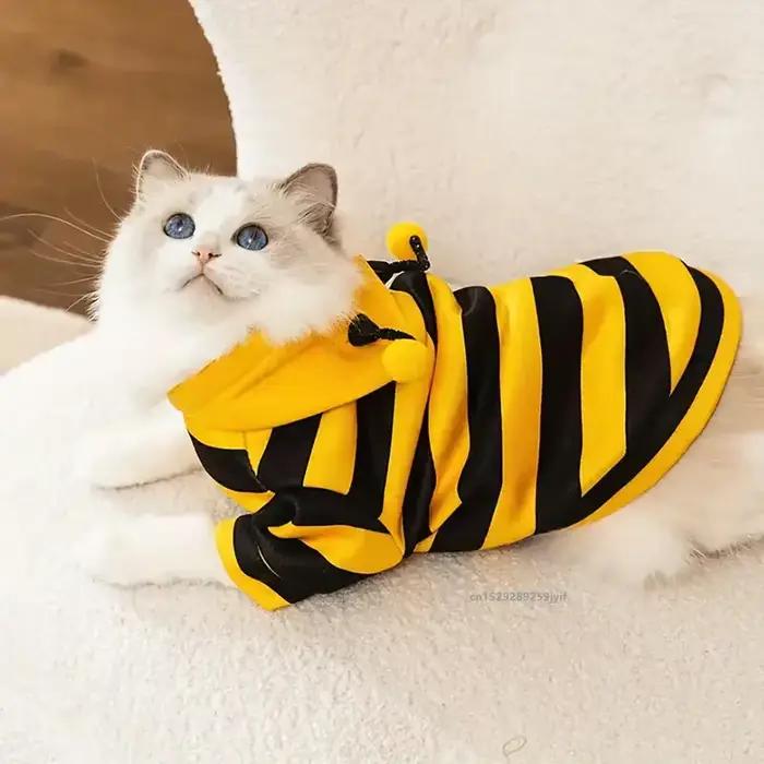 Vêtements pour animaux de compagnie Bee Pet : Manteau
