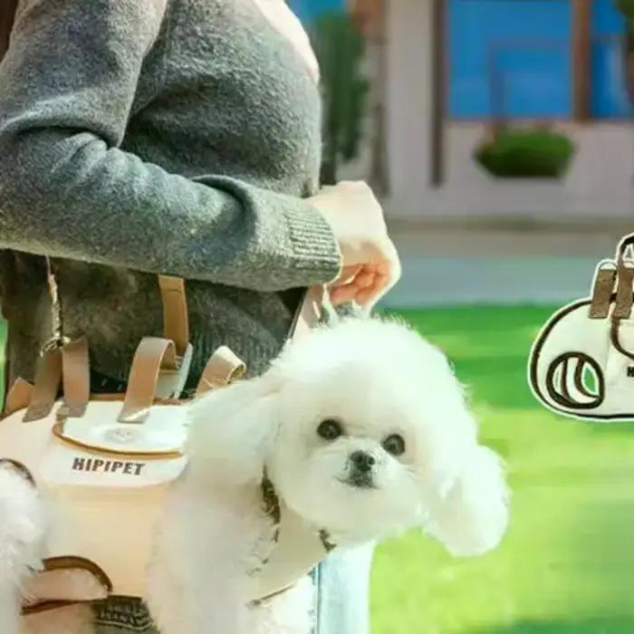 Sac de transport portable pour animaux de compagnie