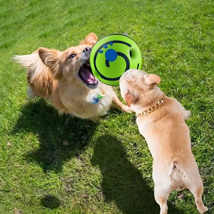 Jouet pour chien durable