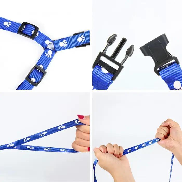 Ensemble harnais et laisse triangulaires pour chien