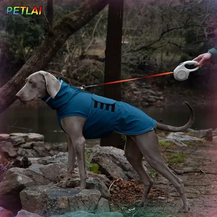 Veste d'extérieur imperméable et anti-poussière pour chien