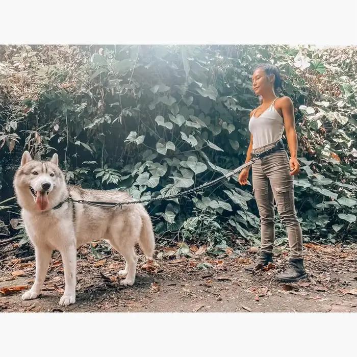Laisse pour chien mains libres avec ceinture de soutien lombaire