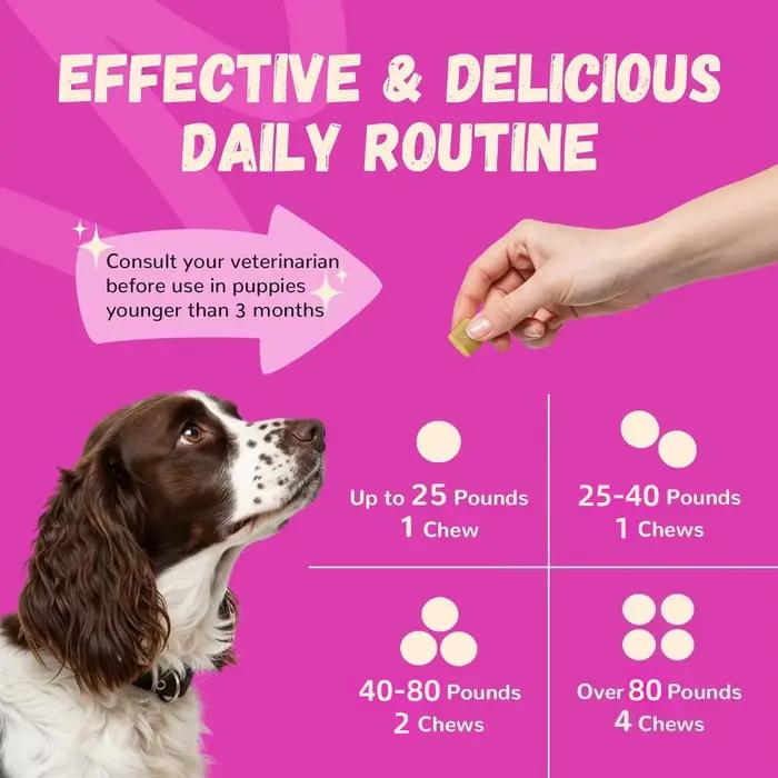 Multivitamines pour chien 150g
