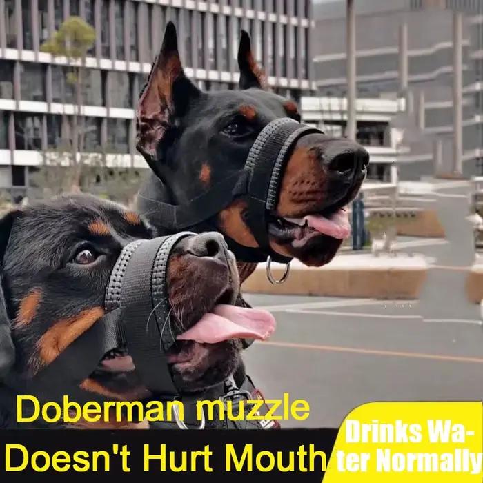Muselière pour chien Anti-morsure et Anti-aboiement