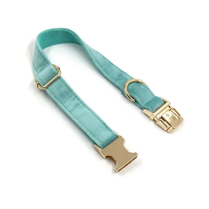 Collier de chien personnalisé Tiffany Blue SFP pour animal de compagnie