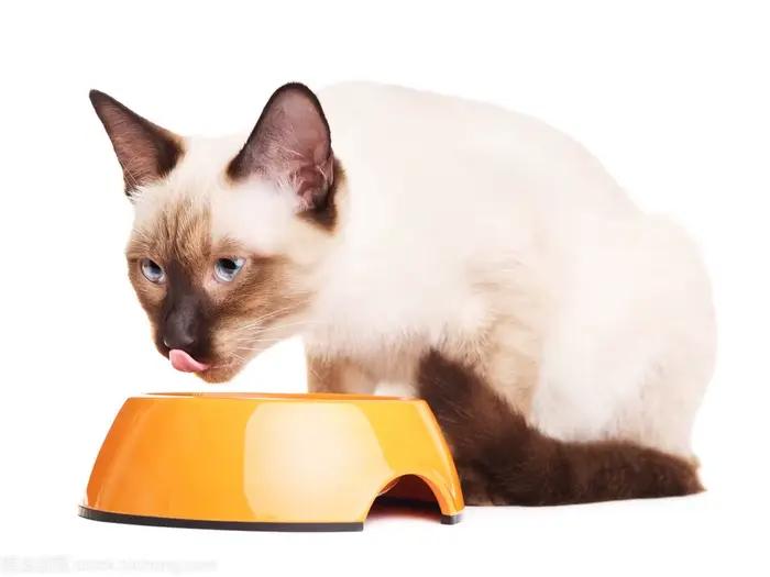 Produits de santé pour chiens et chats