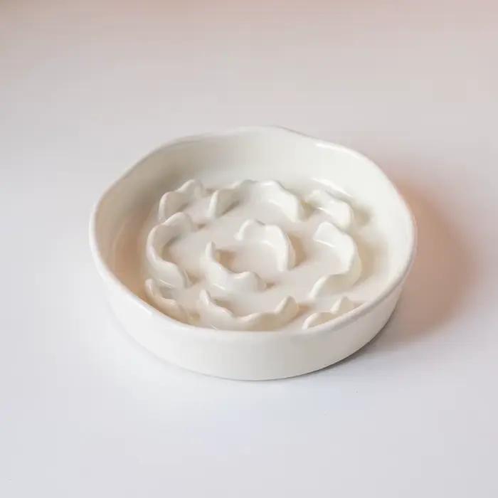 Bol de nourriture lente en céramique