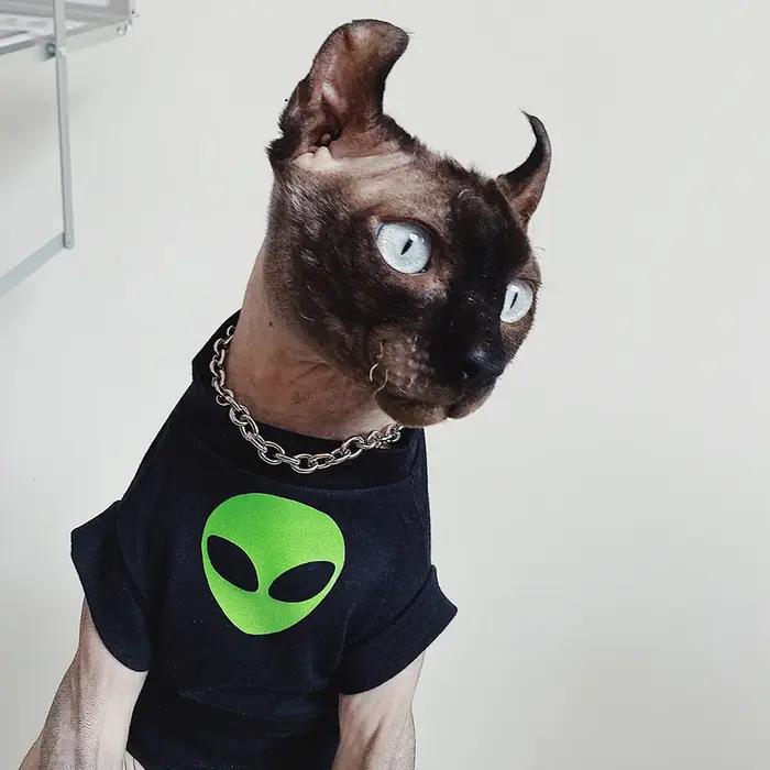 Vêtements Alien Sphynx pour animaux de compagnie