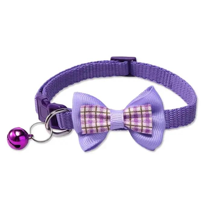 Collier pour chien mignon