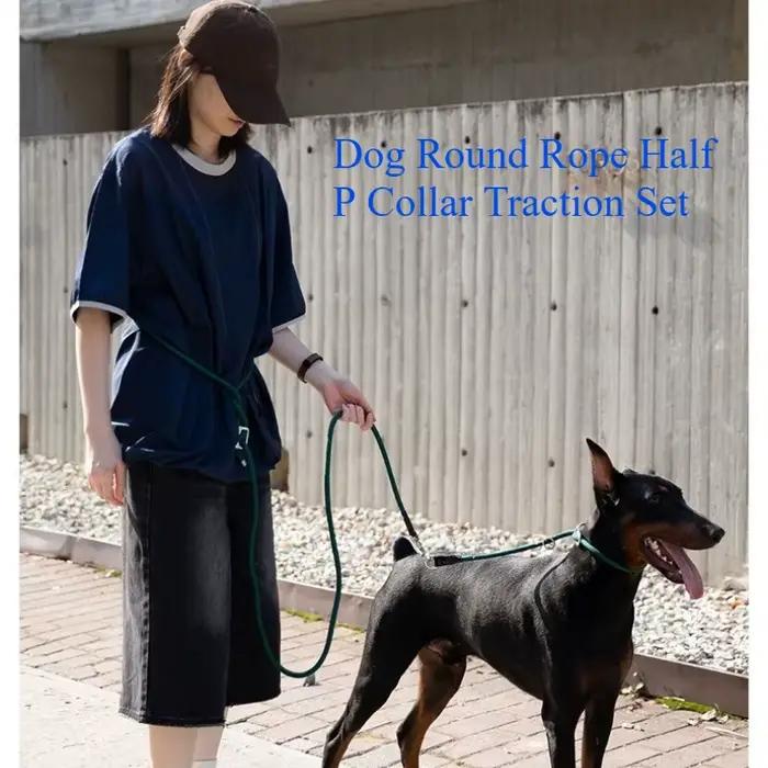 Collier et laisse pour chien en corde semi-ronde