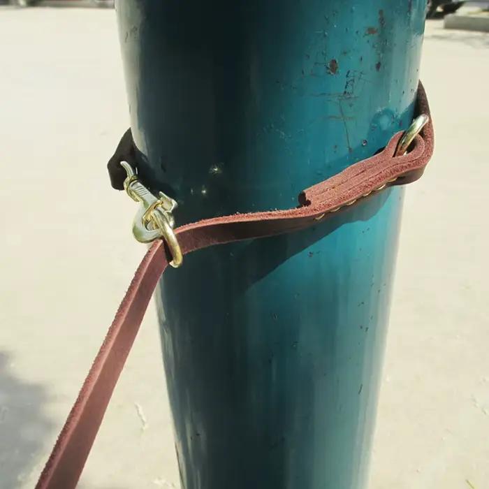 Laisse double multifonctionnelle pour deux chiens en cuir véritable