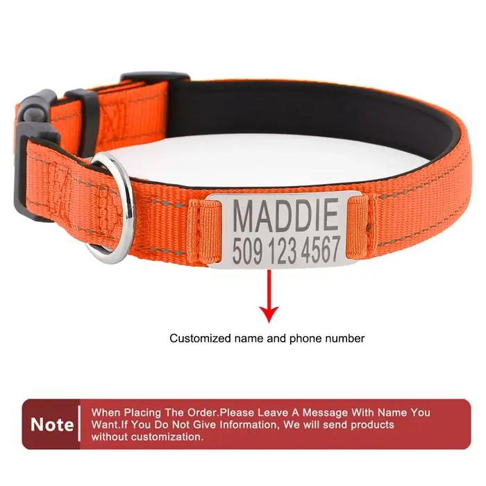 Colliers pour chiens personnalisés - Étiquettes d'identification gravées sur mesure avec matériau réfléchissant