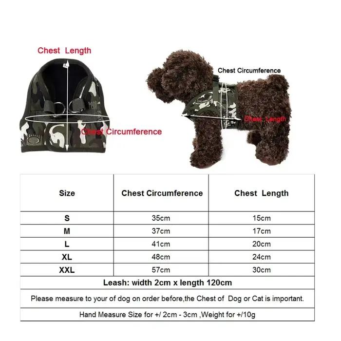 Harnais pour chien, ensemble de laisse