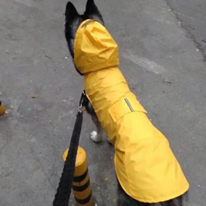 Manteau imperméable pour chien, veste à capuche imperméable, Poncho de pluie, vêtements de pluie pou