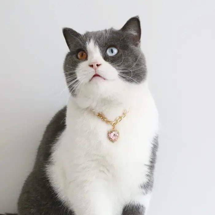 Collier de luxe pour chien et chat, bijoux avec pendentif en forme de cœur et de diamant, chaîne en