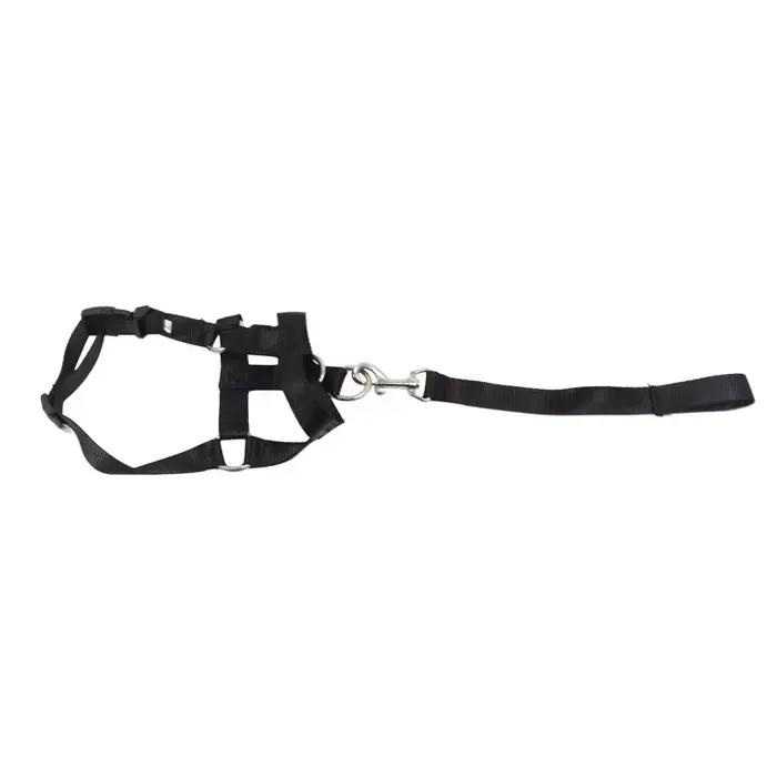 Collier pour chien muselière licou entraînement laisse
