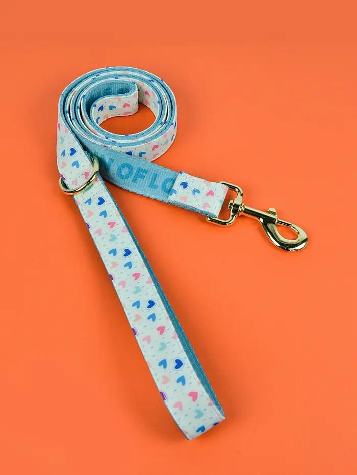 Laisse pour chien, cadeau de saint-valentin et du nouvel an pour chien