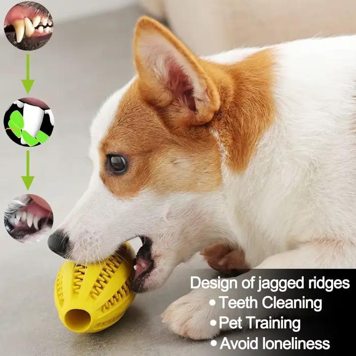 Jouets à mâcher pour chien, nettoyage des dents, boule de collation, en caoutchouc naturel, Super ré