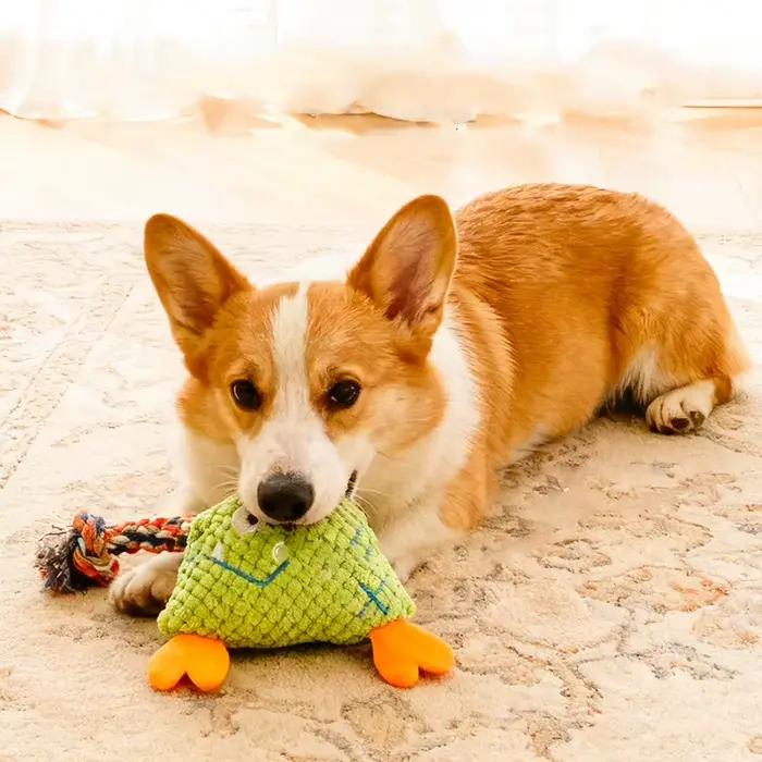 Jouet à mâcher pour chien en peluche interactif et amusant