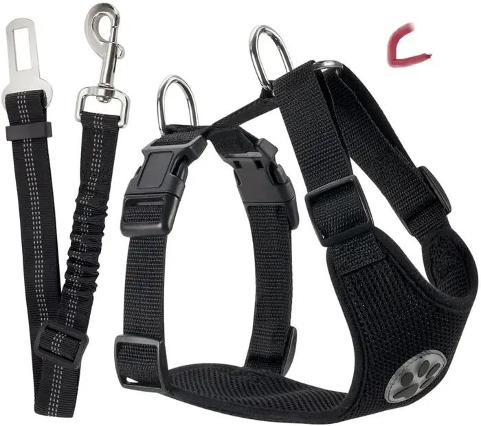 Ensemble de ceinture de sécurité pour harnais de voiture pour chien
