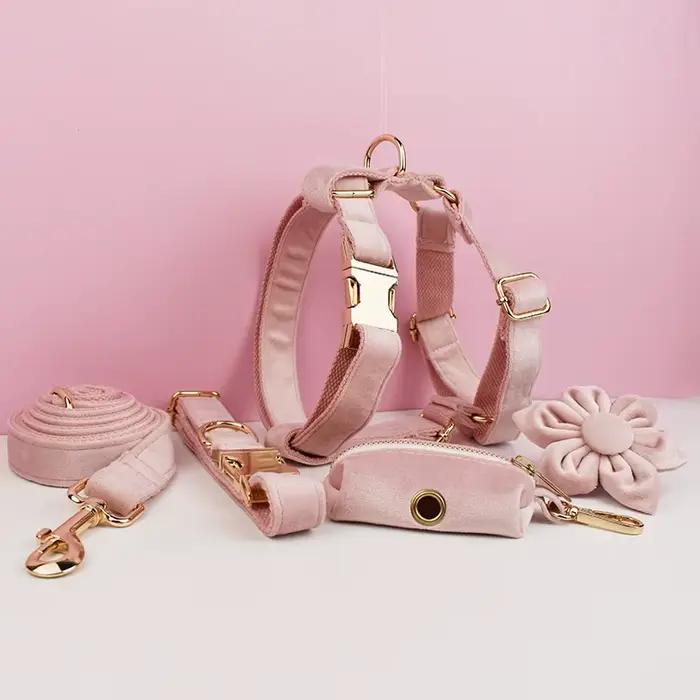 Ensemble collier et laisse pour chien en velours rose pâle, plaque nominative gravée sur mesure, fou