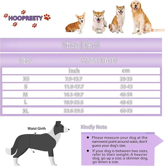 Couches réutilisables pour chiens féminins, couches à haute absorption pour chiots, culottes réglabl