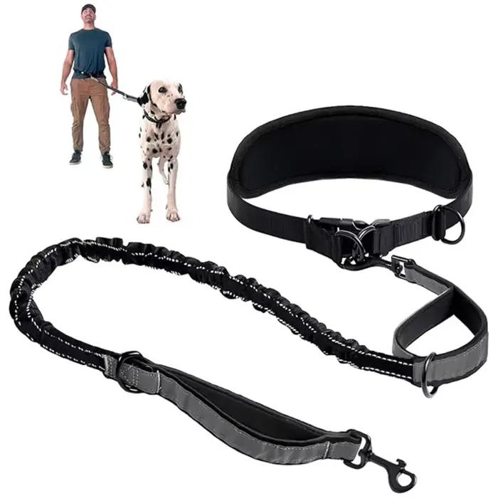 Laisse pour chien mains libres avec ceinture de soutien lombaire
