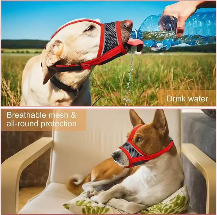 Muselière pour chien, maille respirante et potable